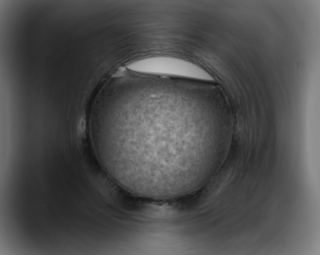 X0000088060502200705251345