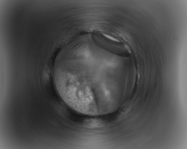 X0000088060503200705251345