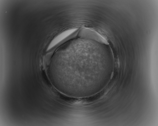X0000088060504200705251345