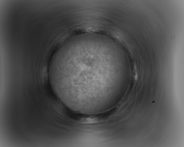 X0000088060506200705251345