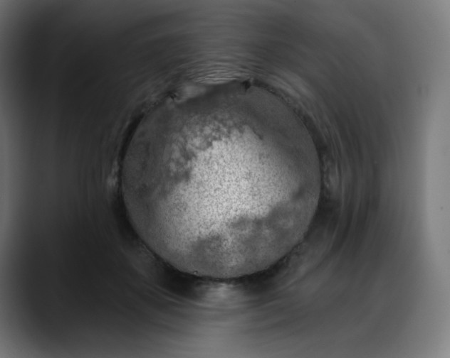 X0000088060507200705251345