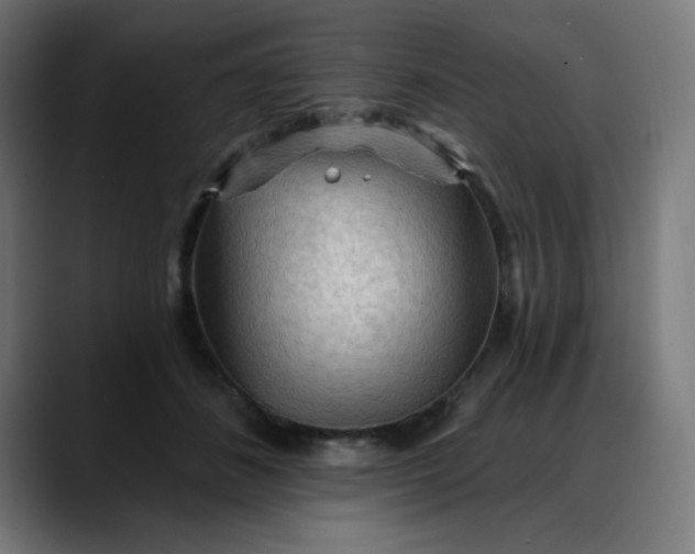 X0000088060508200705251345