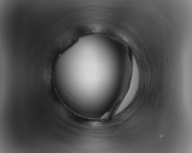 X0000088060509200705251345