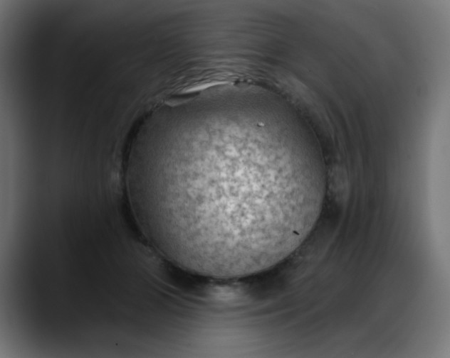 X0000088060510200705251345