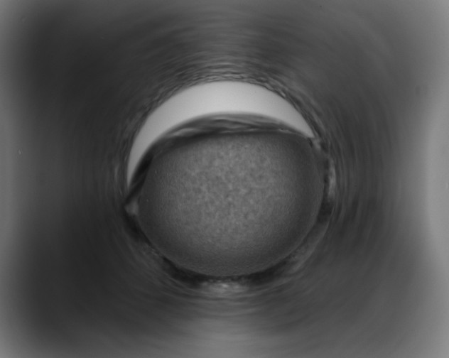 X0000088060512200705251345