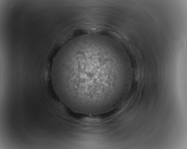 X0000088060515200705251345
