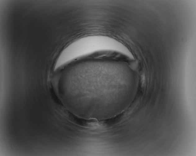 X0000088060516200705251345