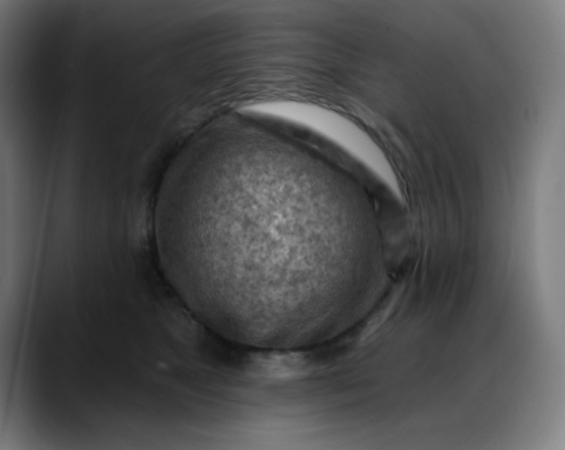 X0000088060517200705251345