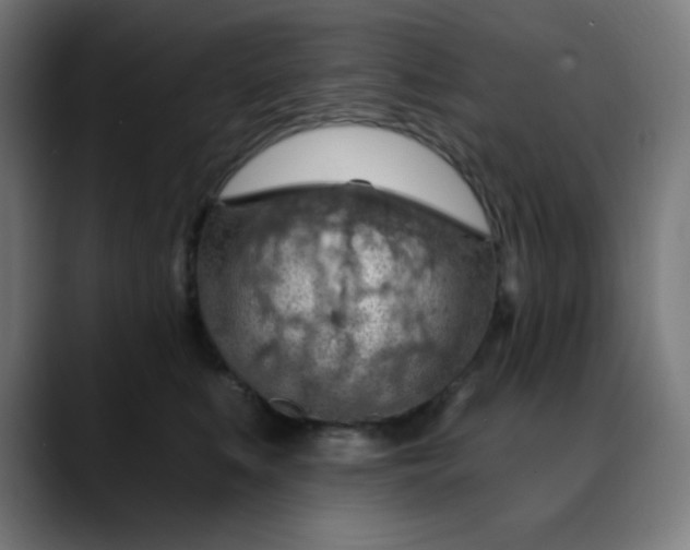 X0000088060519200705251345