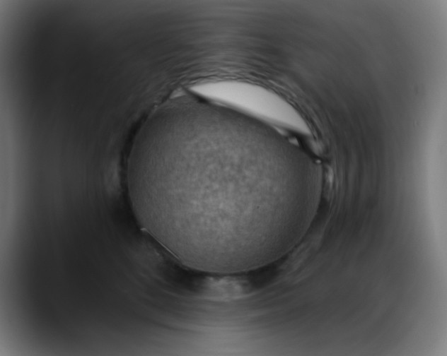 X0000088060520200705251345
