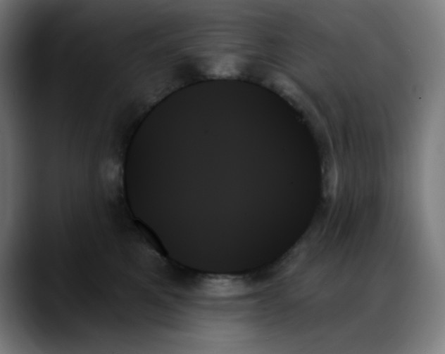 X0000088060521200705251345