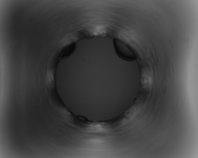 X0000088060523200705251345