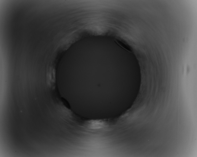 X0000088060528200705251345