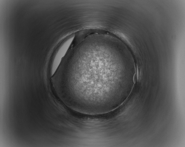 X0000088060531200705251344