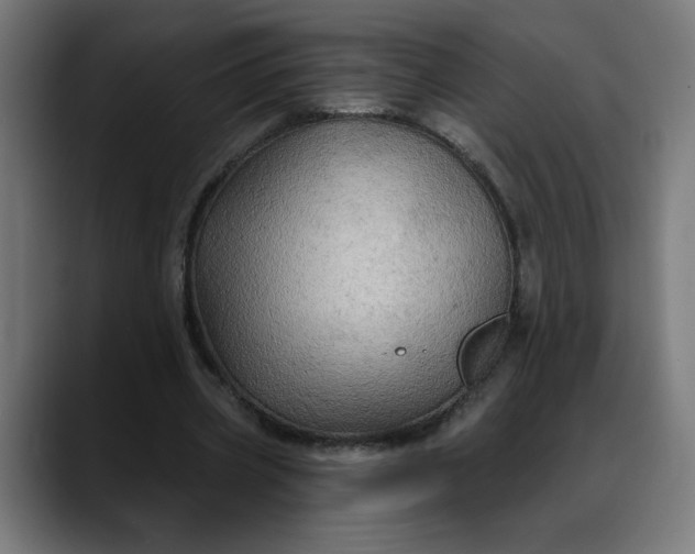 X0000088060533200705251344