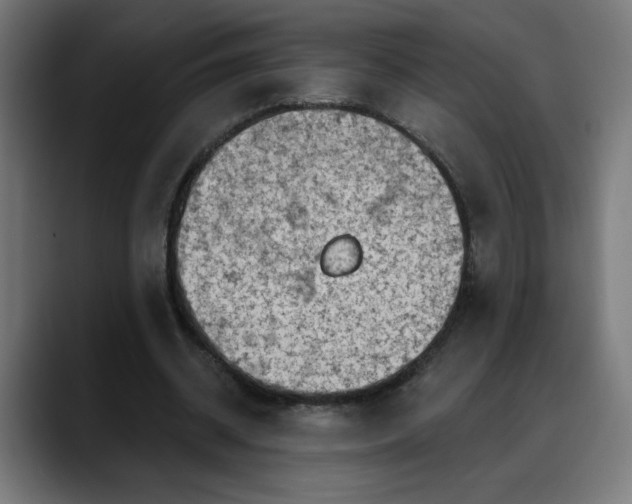 X0000088060534200705251344
