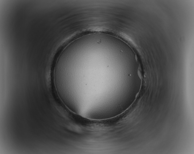 X0000088060535200705251344