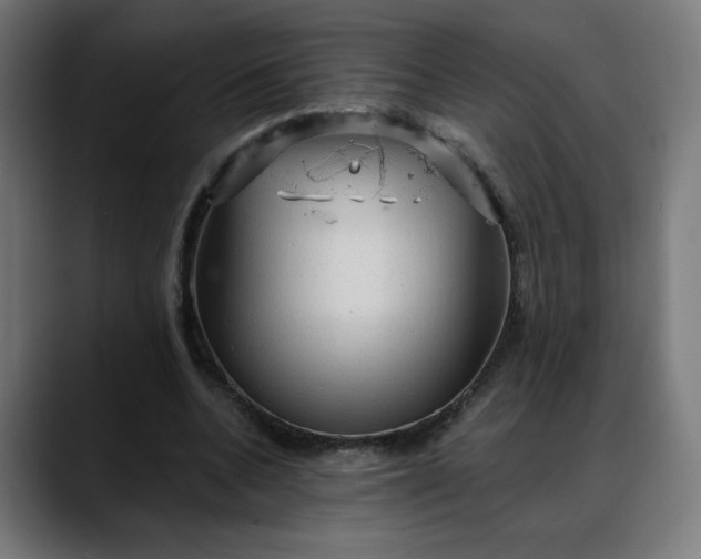 X0000088060536200705251344