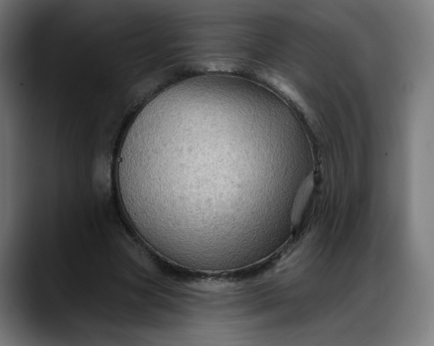 X0000088060537200705251344