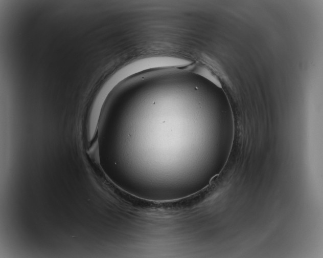 X0000088060538200705251344