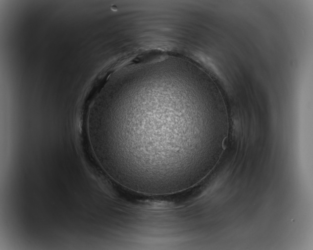 X0000088060539200705251344