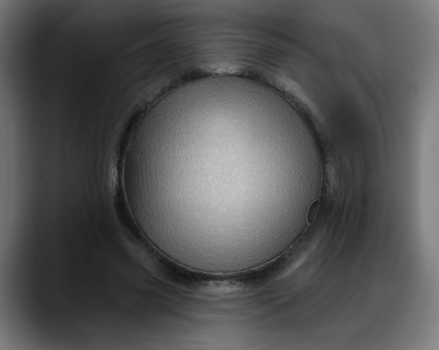X0000088060541200705251344