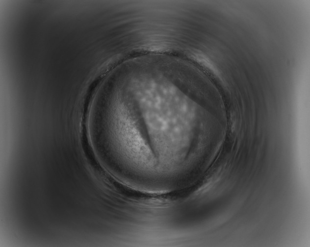 X0000088060542200705251344