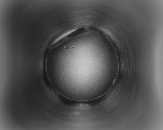 X0000088060543200705251344