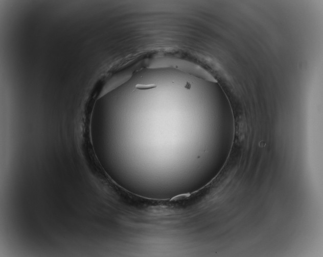 X0000088060544200705251344