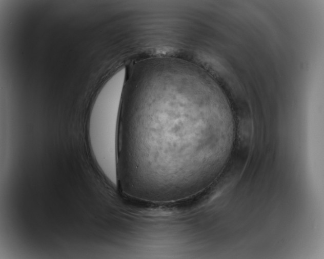 X0000088060545200705251344
