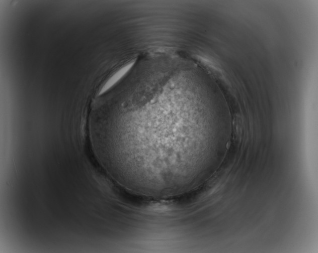 X0000088060550200705251344