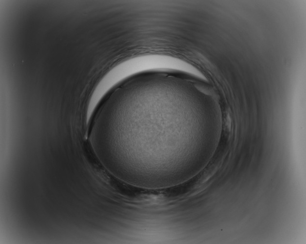 X0000088060552200705251344