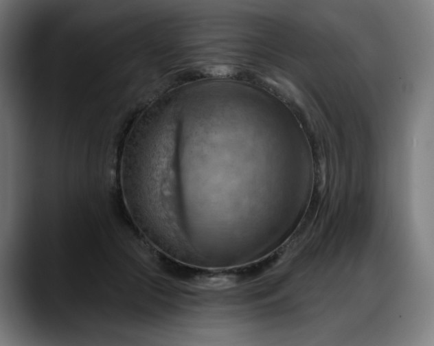 X0000088060553200705251344