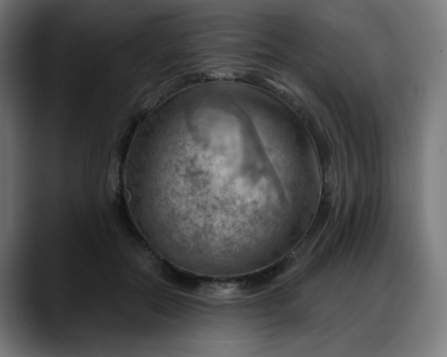 X0000088060554200705251344