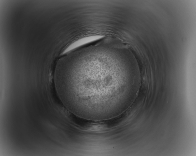 X0000088060555200705251344