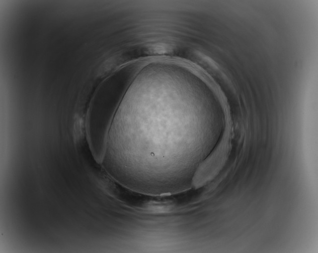 X0000088060556200705251344