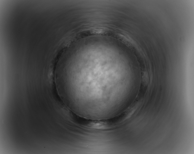 X0000088060557200705251344