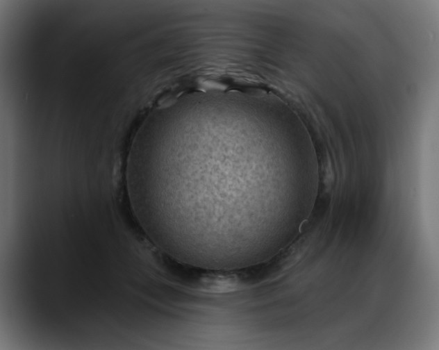 X0000088060559200705251344