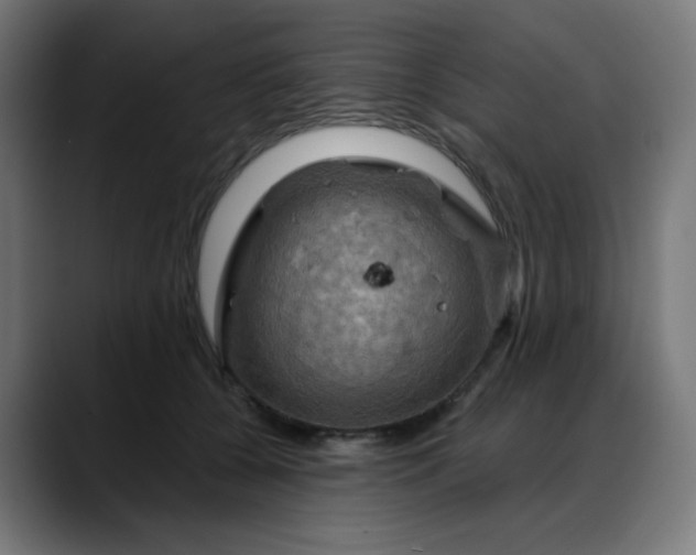 X0000088060560200705251344