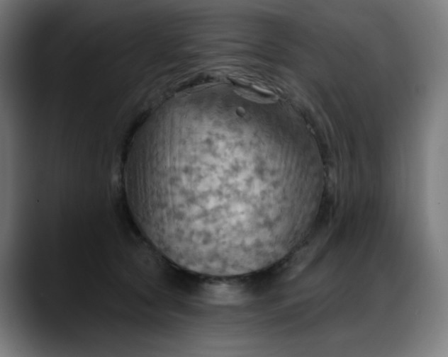 X0000088060561200705251344