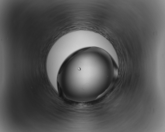 X0000088060562200705251344