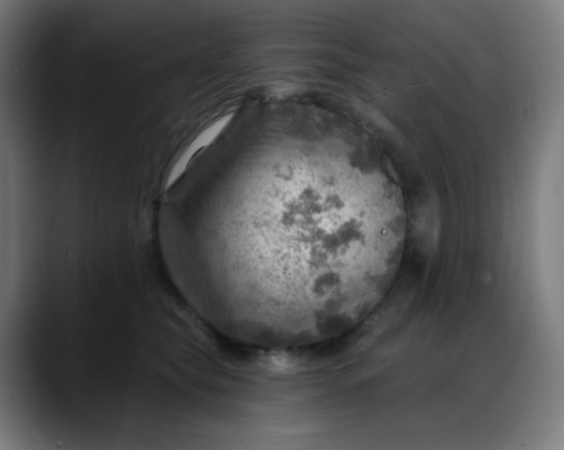 X0000088060565200705251345