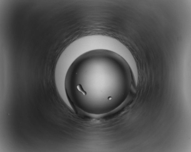 X0000088060566200705251345