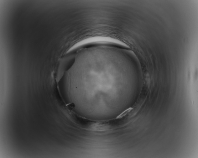 X0000088060568200705251345