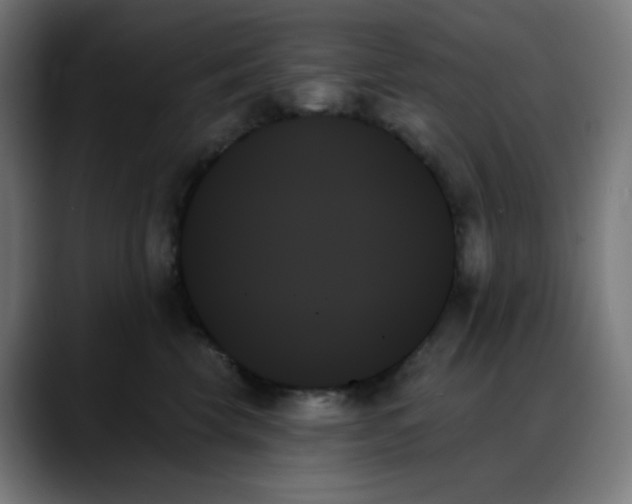 X0000088060569200705251345