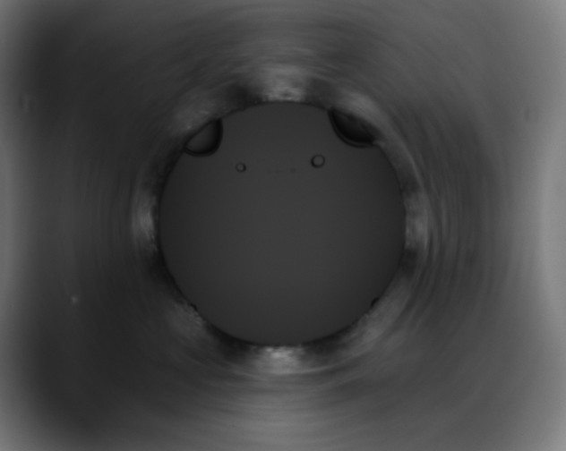 X0000088060573200705251345