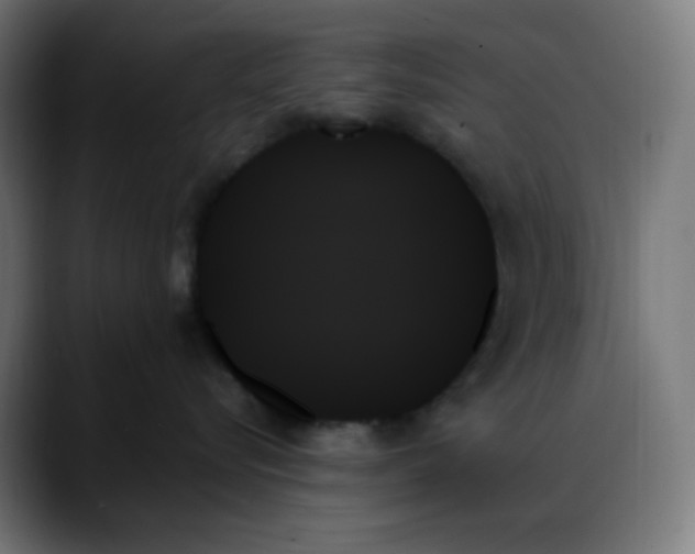 X0000088060576200705251345