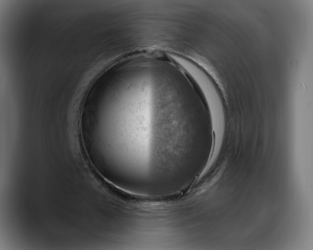 X0000088060577200705251344