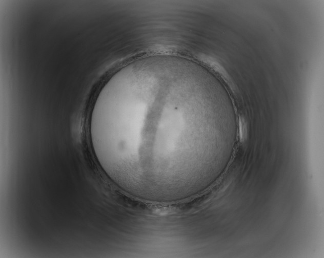 X0000088060579200705251344