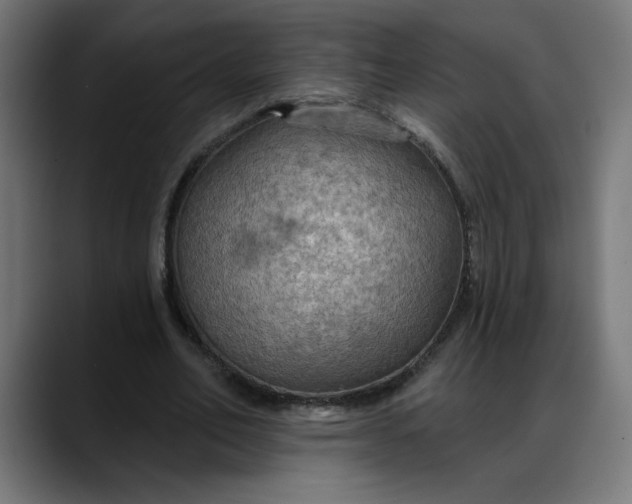 X0000088060582200705251344